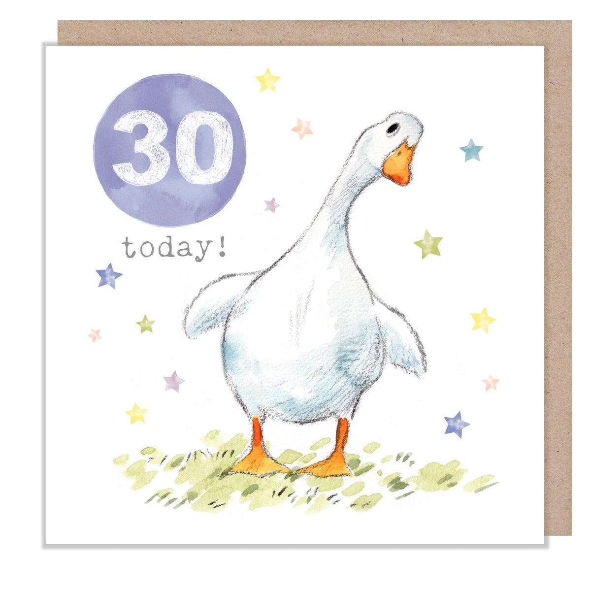 Age 30 Card - White Duck with Stars