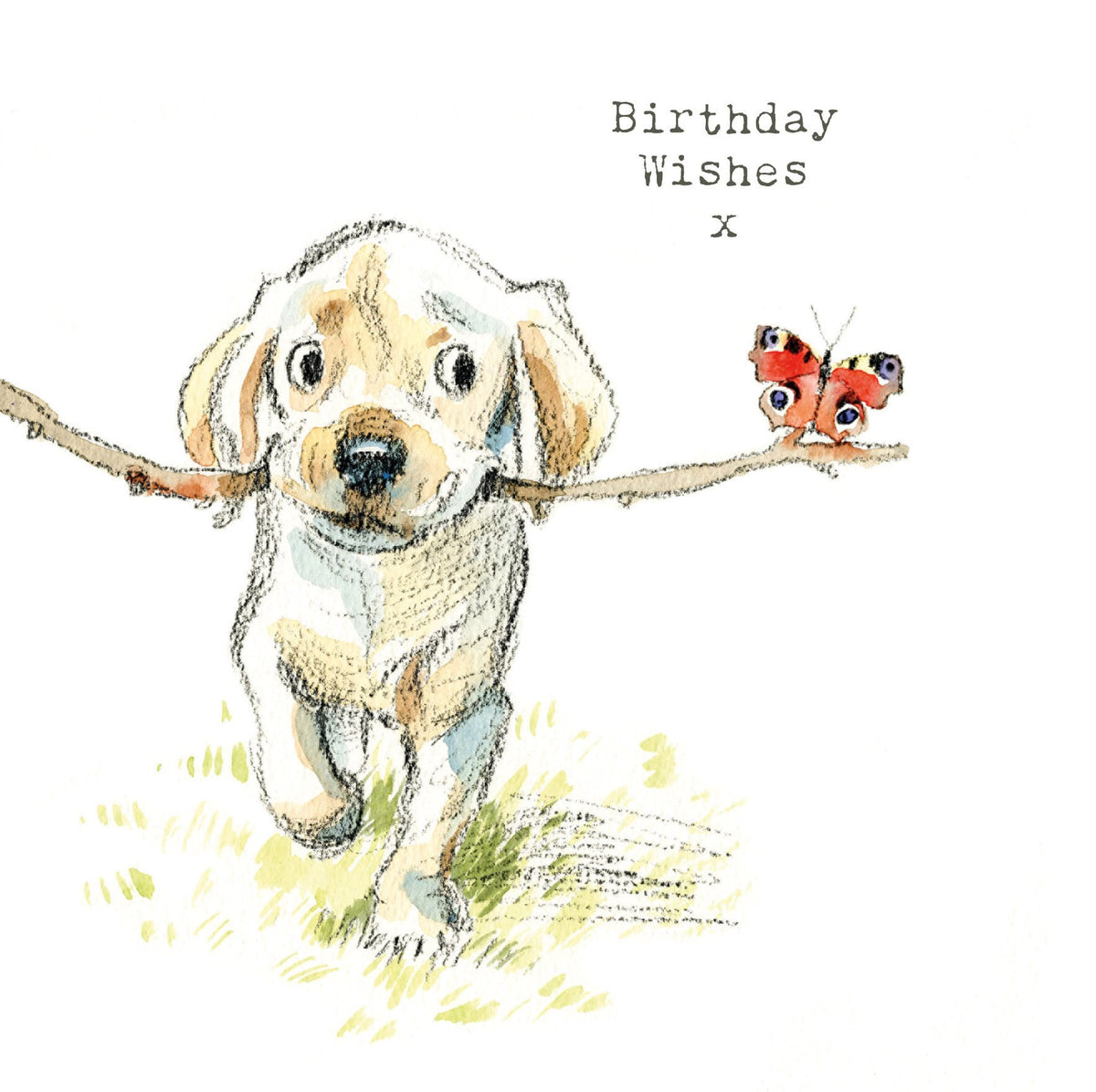 Cute Birthday Card - Labrador with Stick and Butterfly