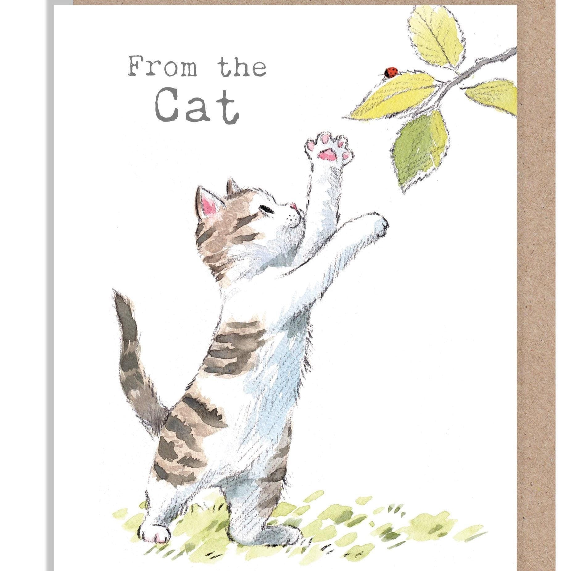 Birthday Card - From the Cat - Kitten with Ladybird