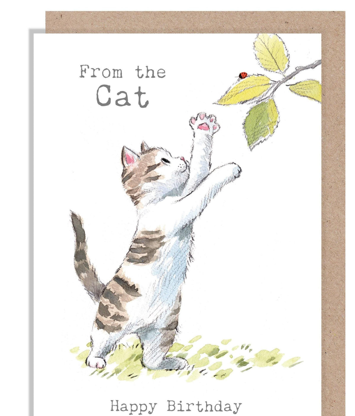 Birthday Card - From the Cat - Kitten with Ladybird
