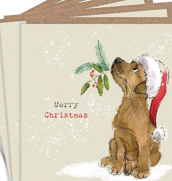Christmas Card Pack - Chocolate Labrador in Hat