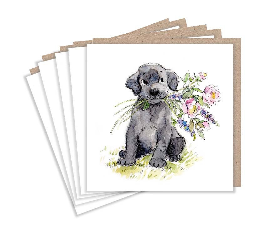 Notelet Packs - Black Labrador