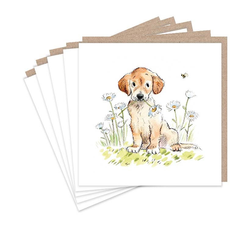 Notelet Pack - Golden Lab