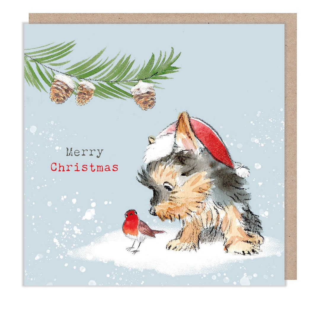 Christmas Card - Yorkshire Terrier Wearing Hat - Looking at Robin. Merry Christmas