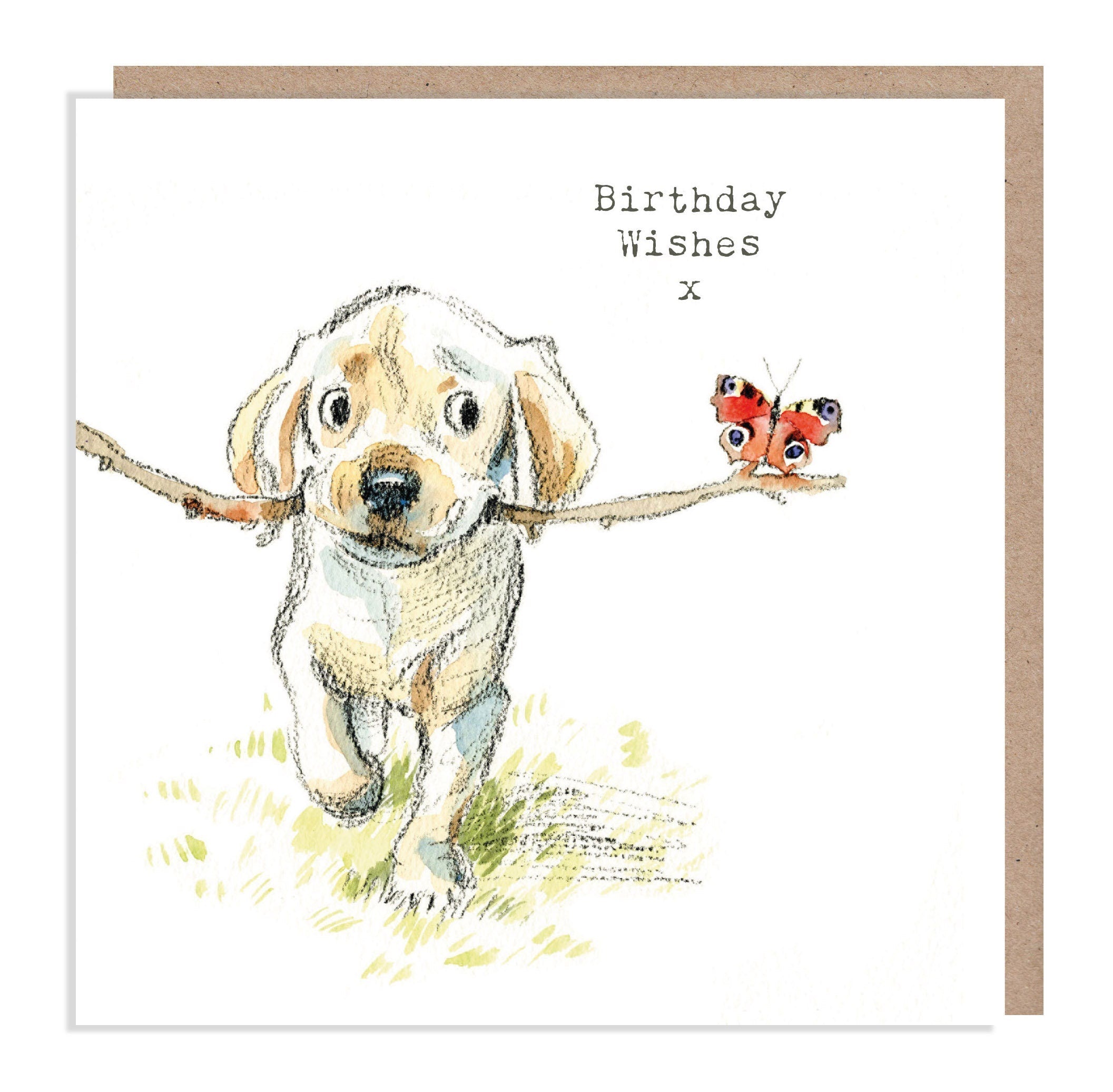 Cute Birthday Card - Labrador with Stick and Butterfly