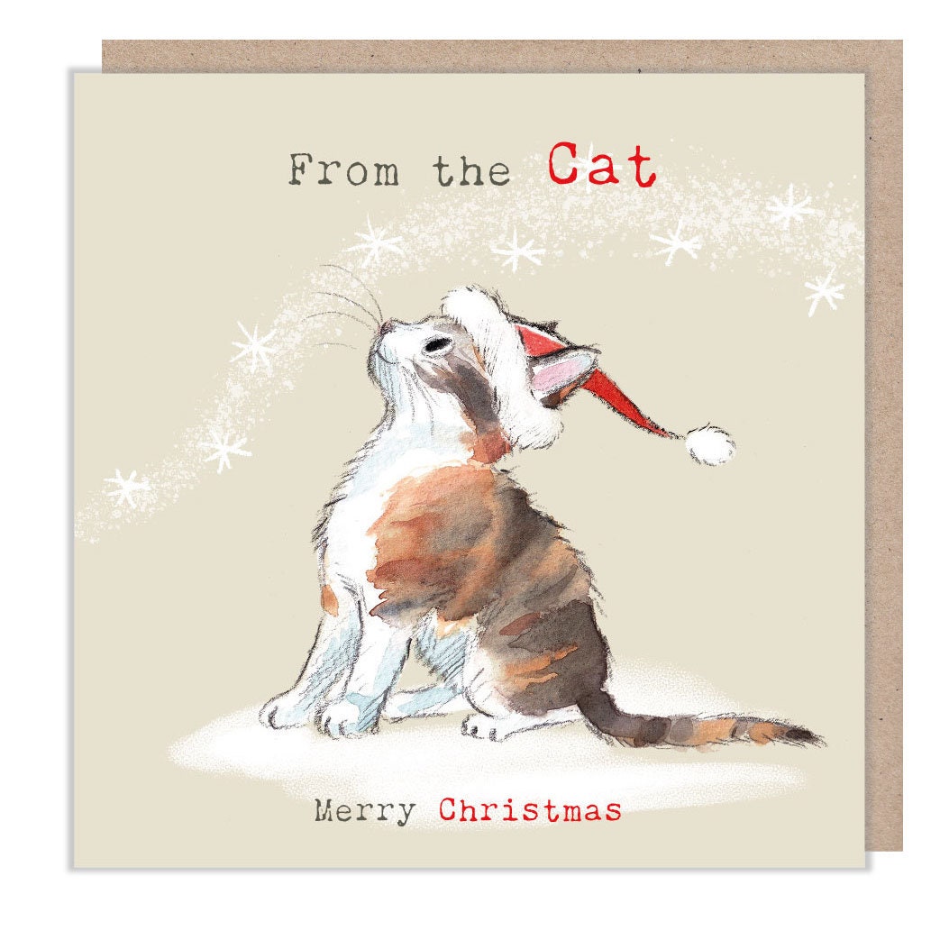 Christmas Card - Kitten Wearing Hat - Looking at Snowflakes. From the Cat
