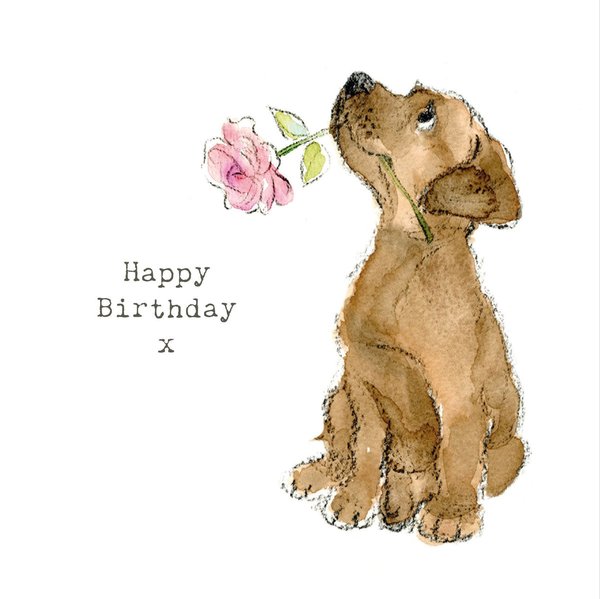 Cute Dog Birthday Card - Chocolate Lab with Pink Rose