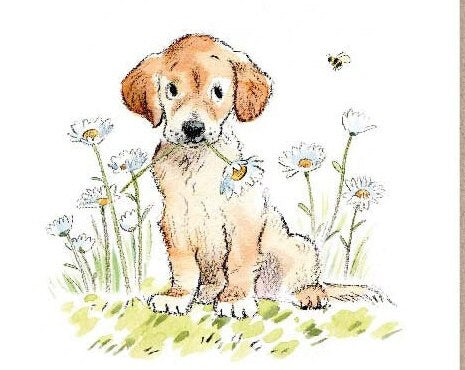 Notelet Pack - Golden Lab