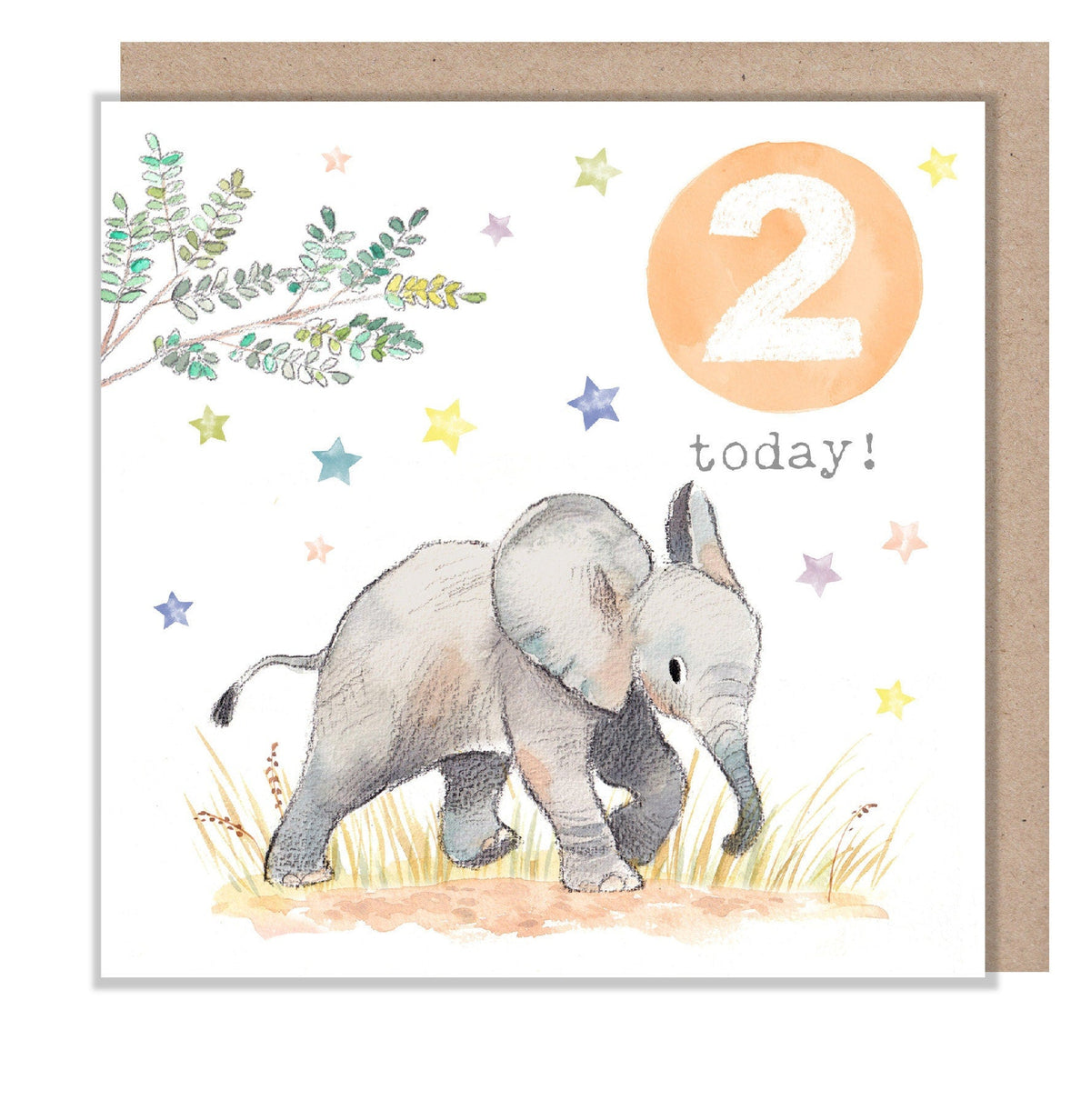 Age 2 Birthday Card - Elephant