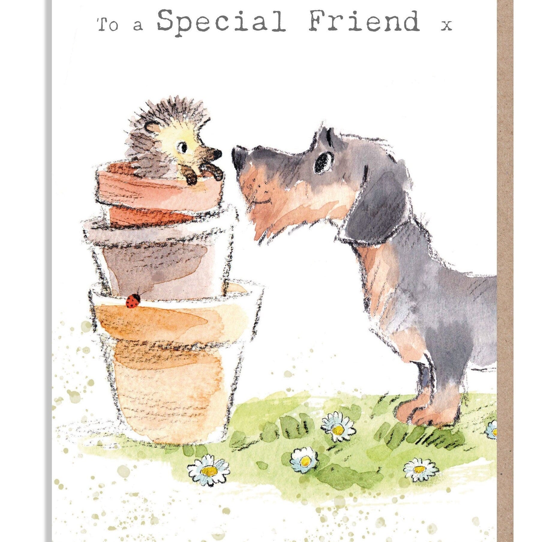 Friend Card - Sausage Dog with Flowers Pots and Hedgehog