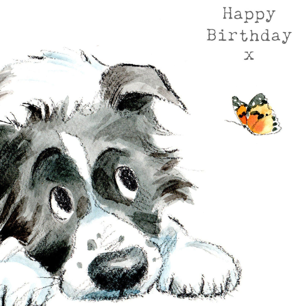 Cute Dog Birthday Card - Black and White Collie with Butterfly