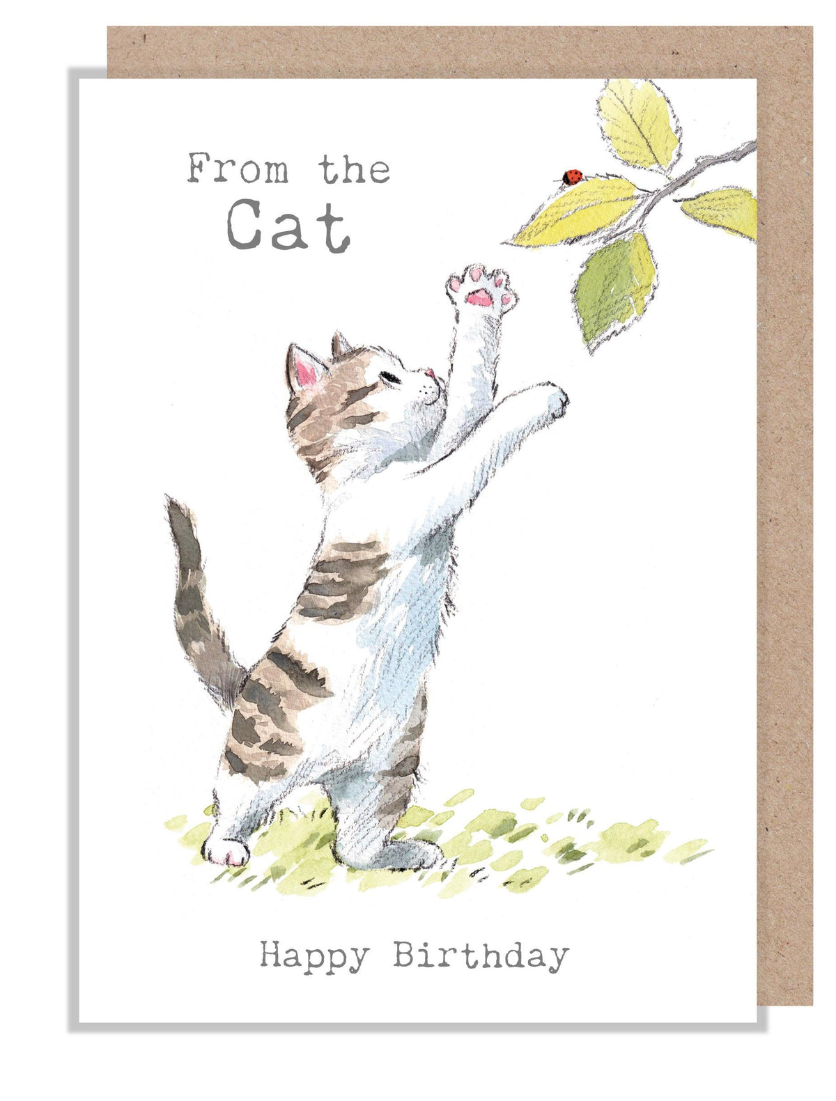 Birthday Card - From the Cat - Kitten with Ladybird