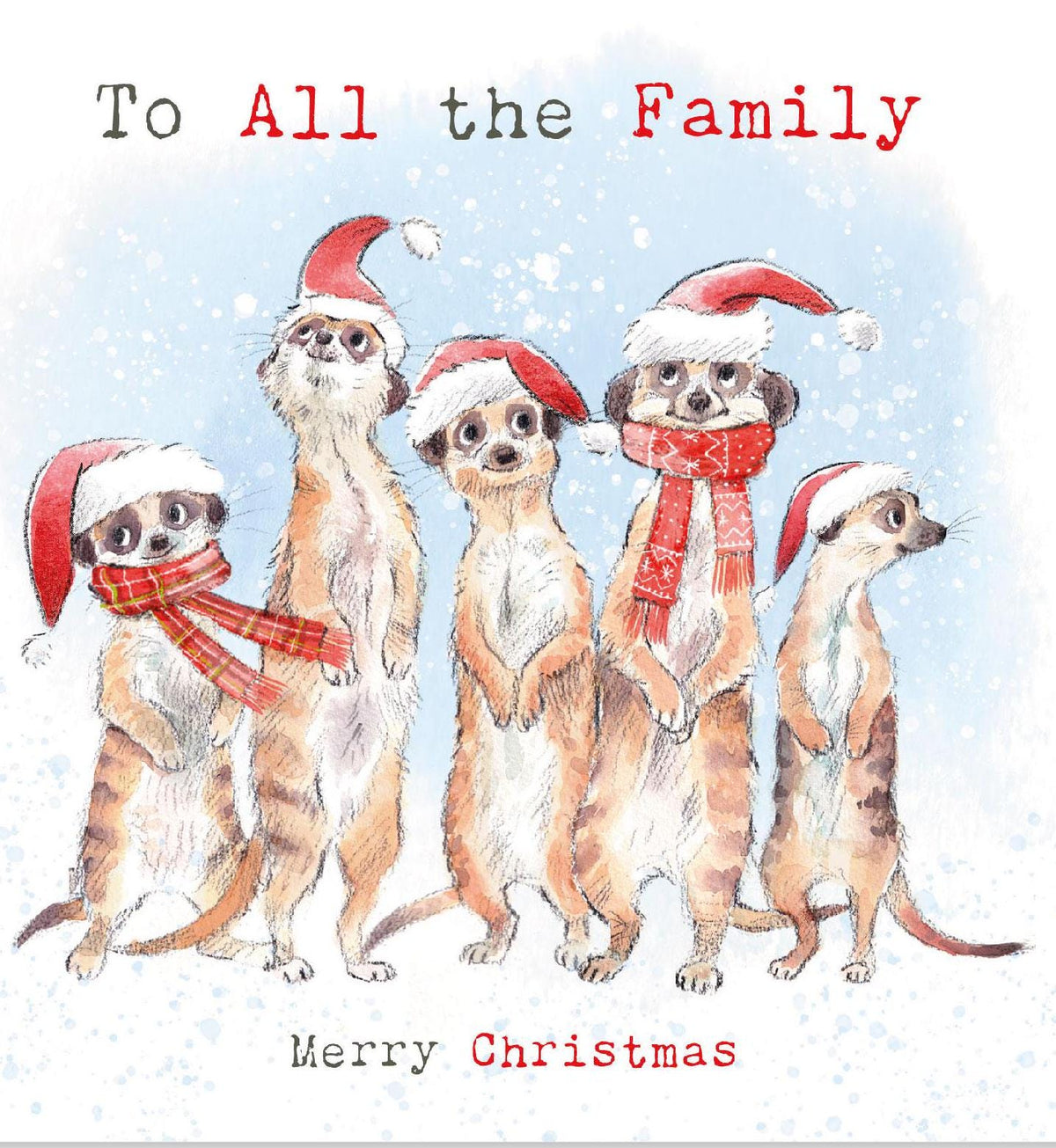 To All the Family Christmas Card - Meerkats Wearing Christmas Hats.