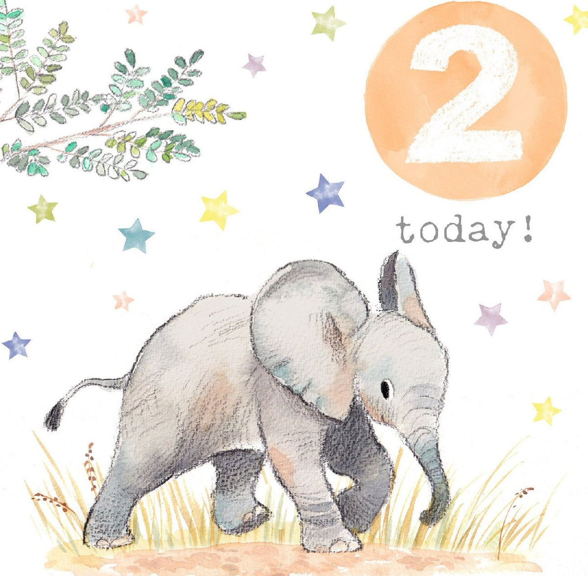 Age 2 Birthday Card - Elephant
