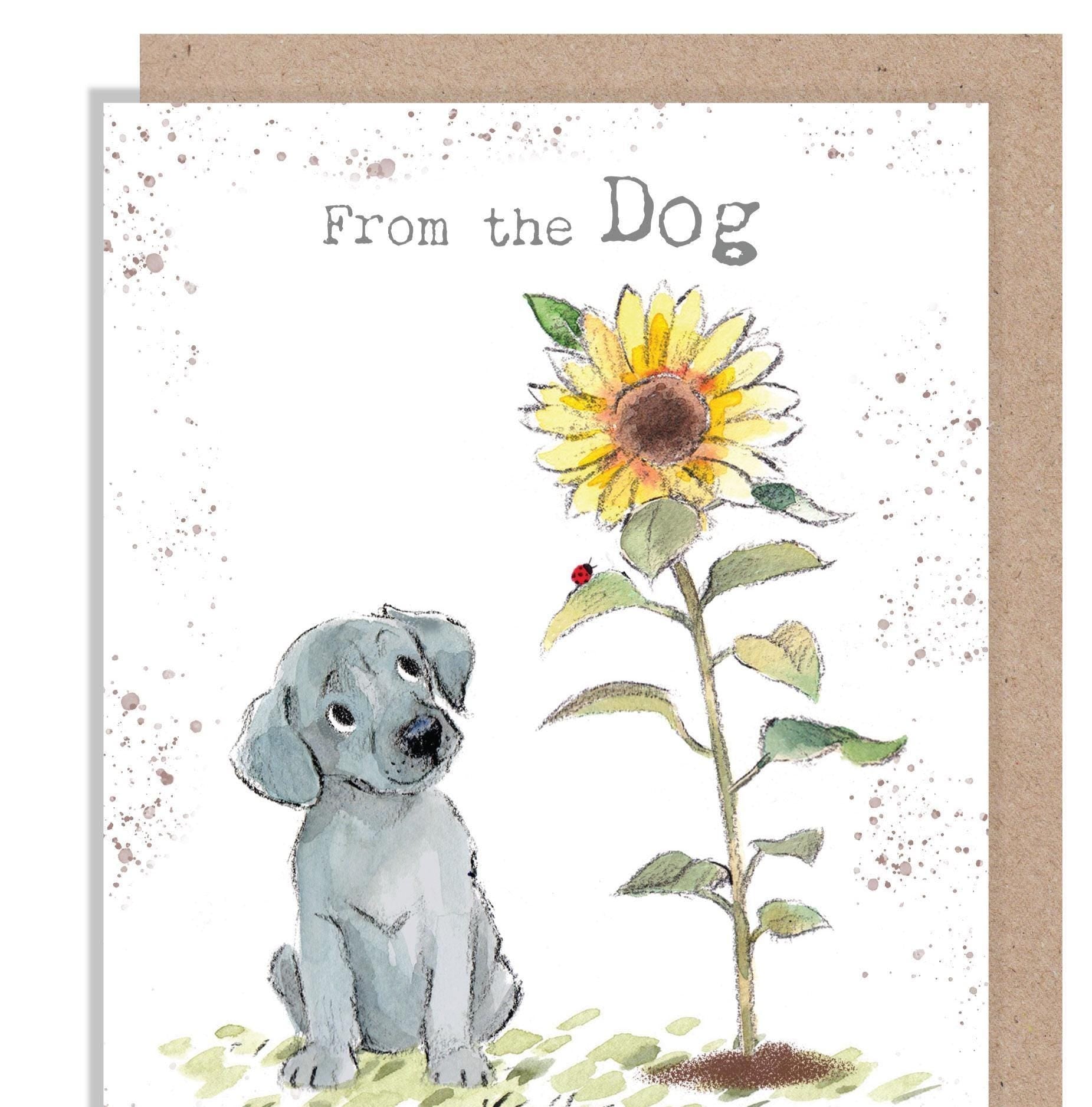 Birthday Card - From the Dog - Grey Puppy with Sunflower