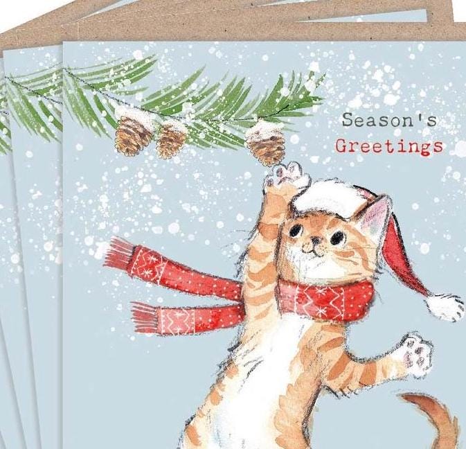 Christmas Card Pack - Ginger Cat in Scarf