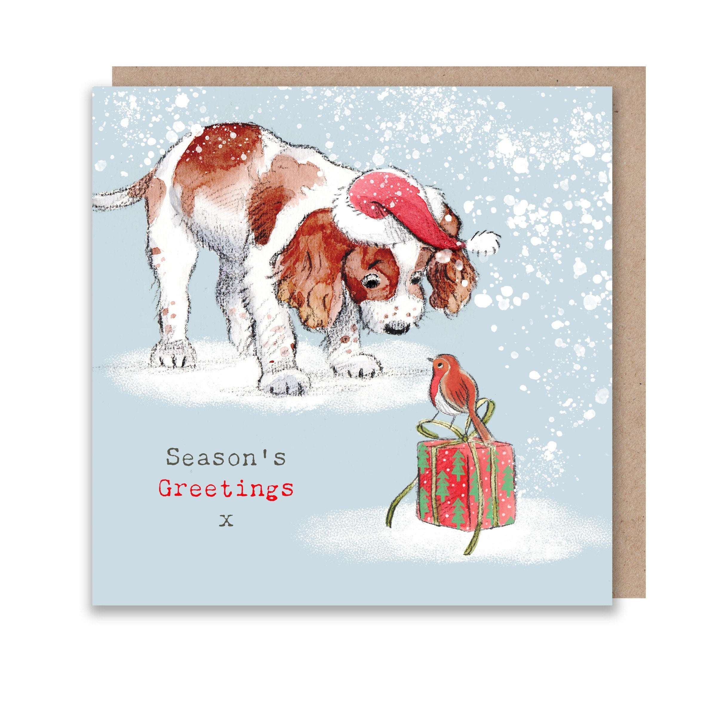 Christmas Card - Season's Greetings - Spring Spaniel Puppy Looking at Robin on Present.