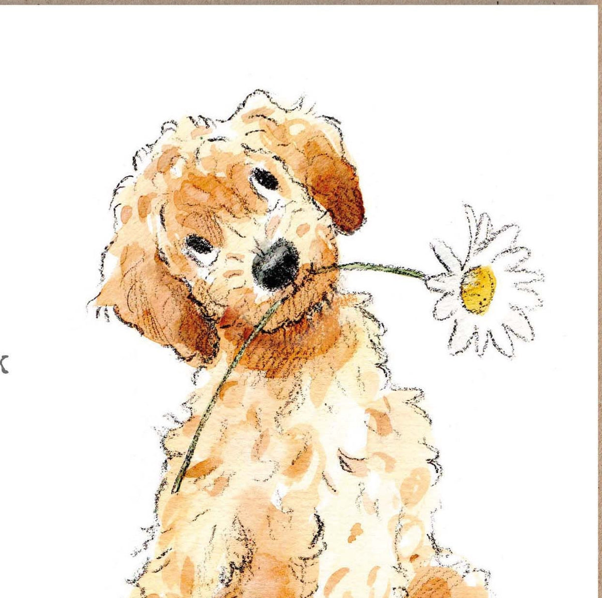 Cute Dog Card - Thank You - Cockapoo with Daisy