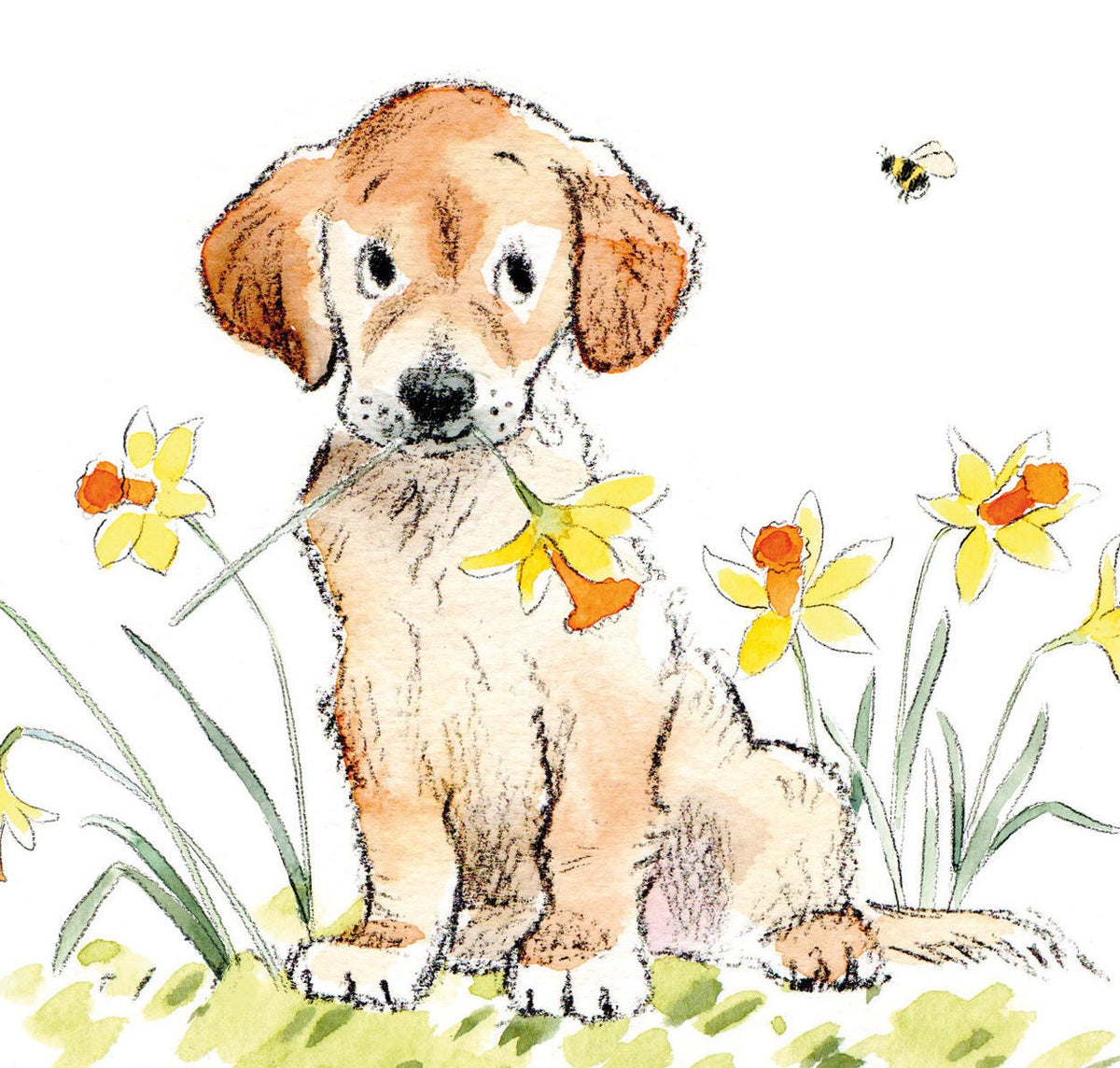 Cute Mothers Day Card - Happy Mothers Day - Golden Labrador with Daffodils
