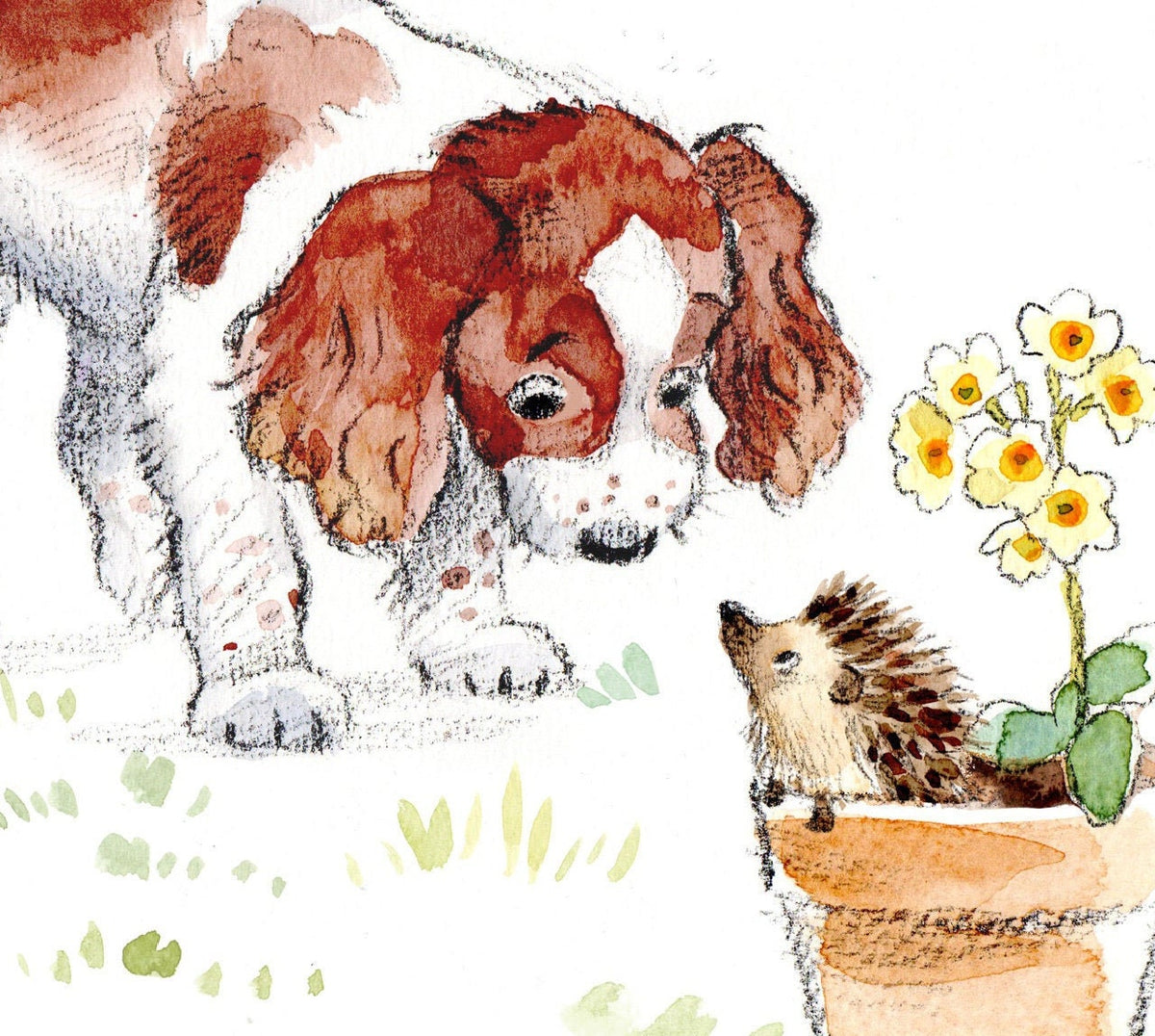 Cute Dog Birthday Card - Springer Spaniel with Hedgehog