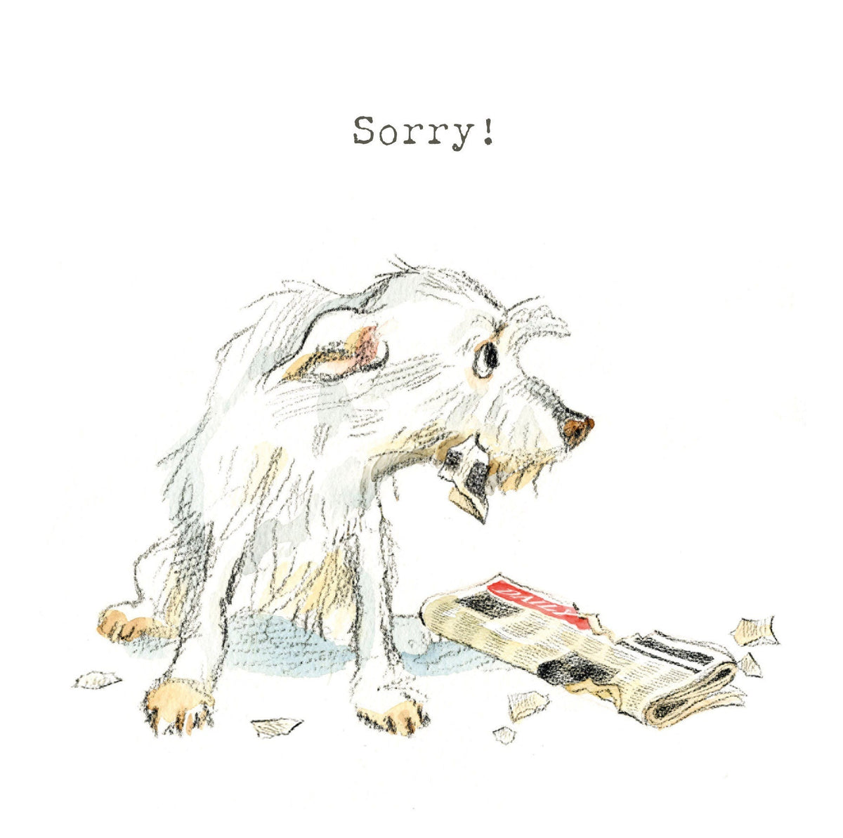 Cute Dog Card - Sorry - White Dog with Newspaper