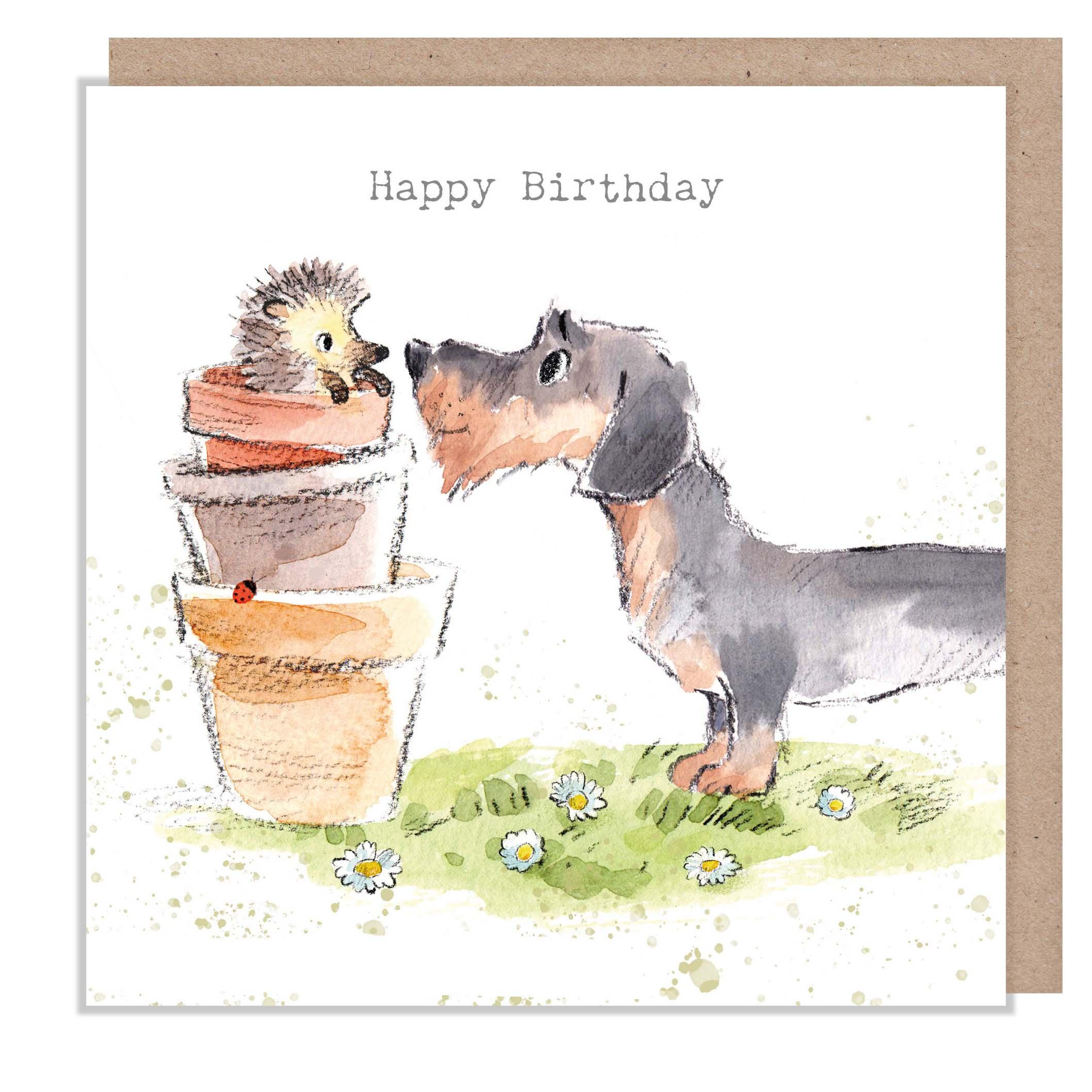 Birthday Card - Happy Birthday - Dachshund with Hedgehog in Flowerpots