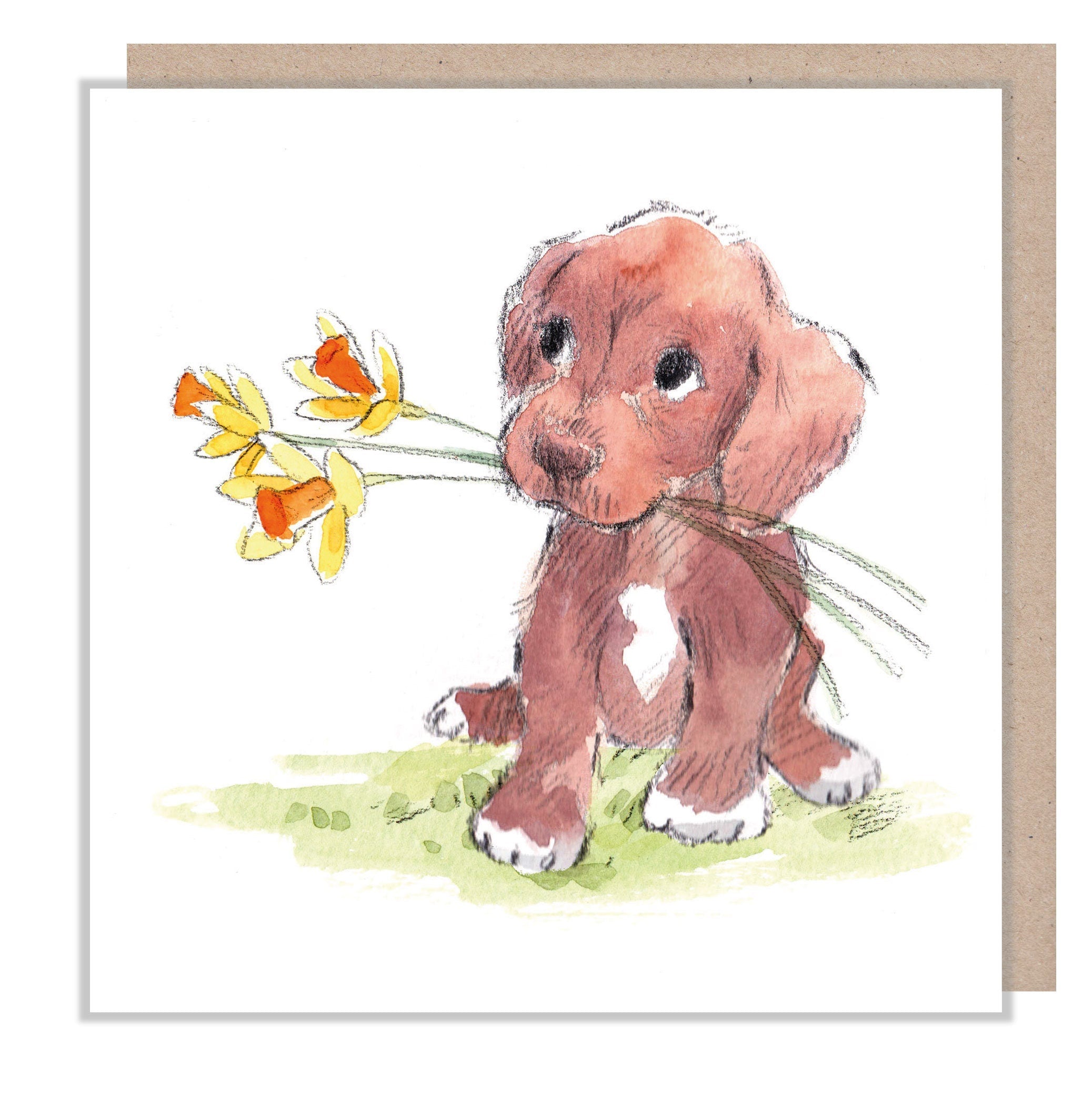 Blank Card - Brown Puppy with Daffodils
