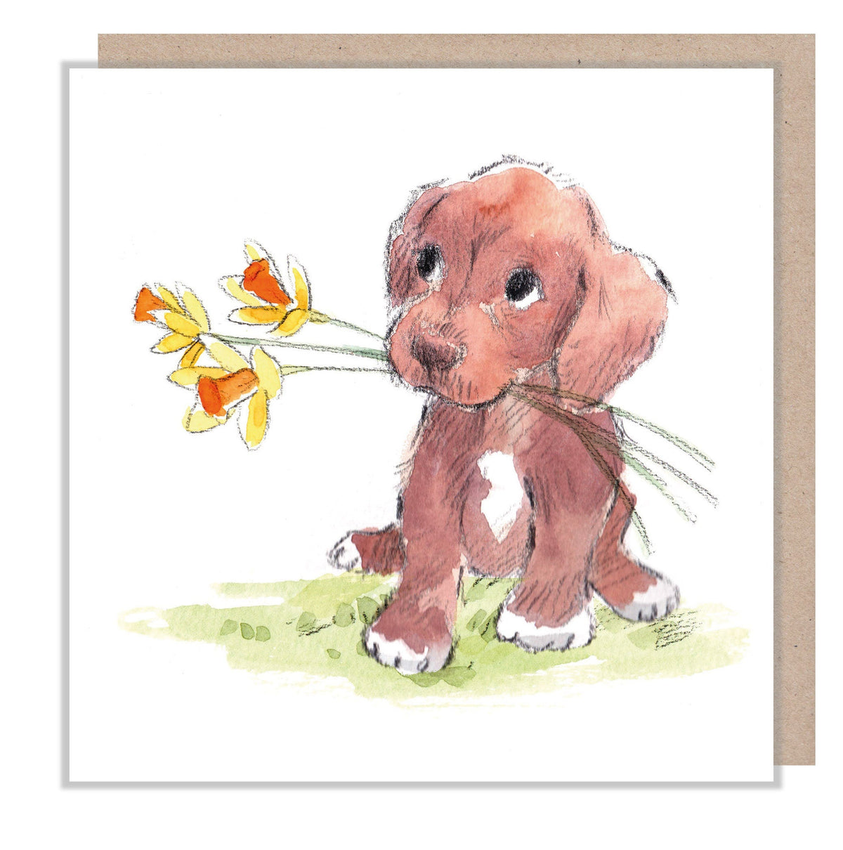 Blank Card - Brown Puppy with Daffodils