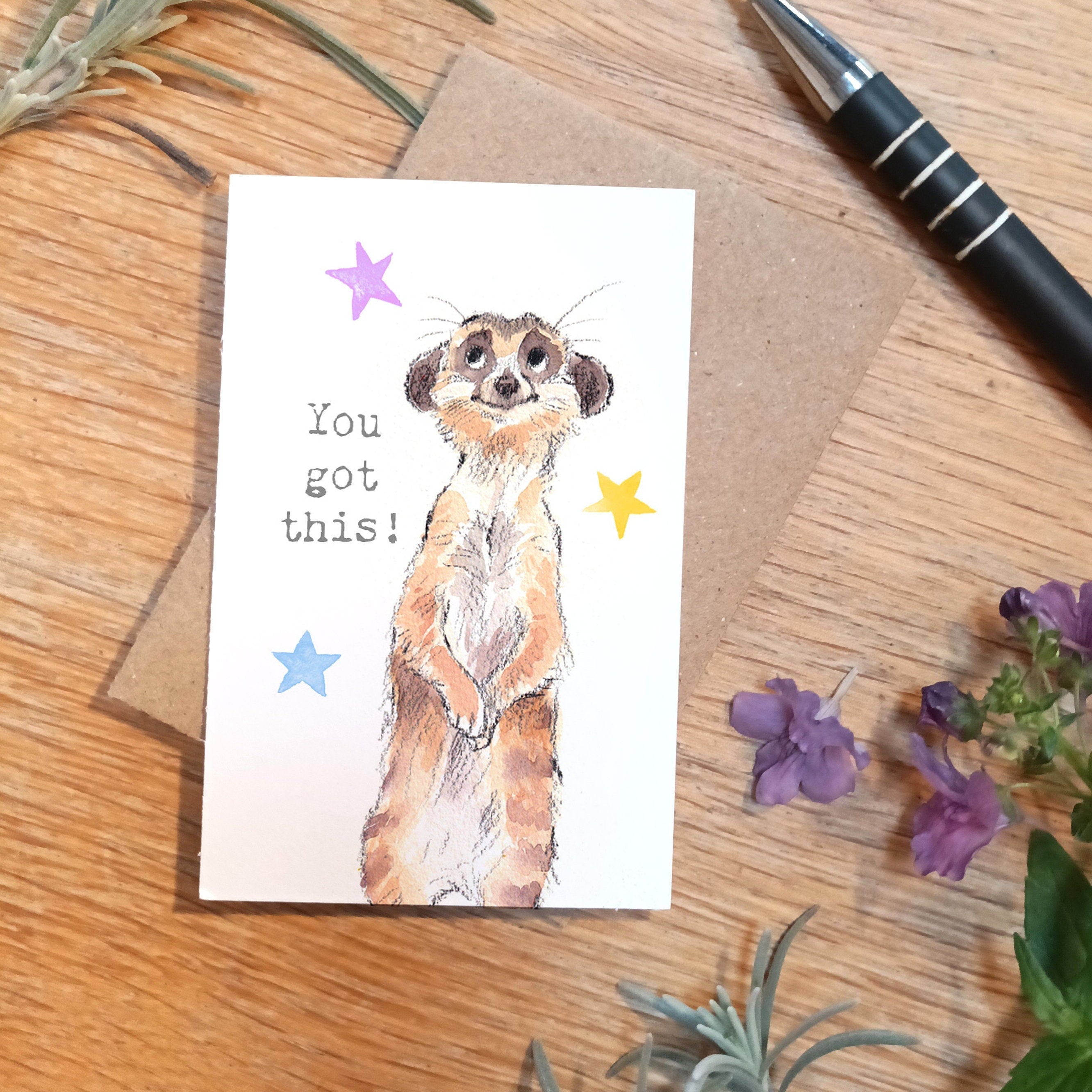 Sentiment Card - You Got This! - Meerkat with Stars