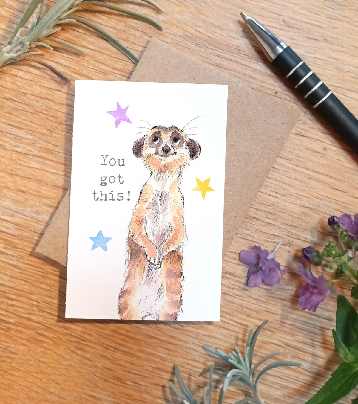 Sentiment Card - You Got This! - Meerkat with Stars