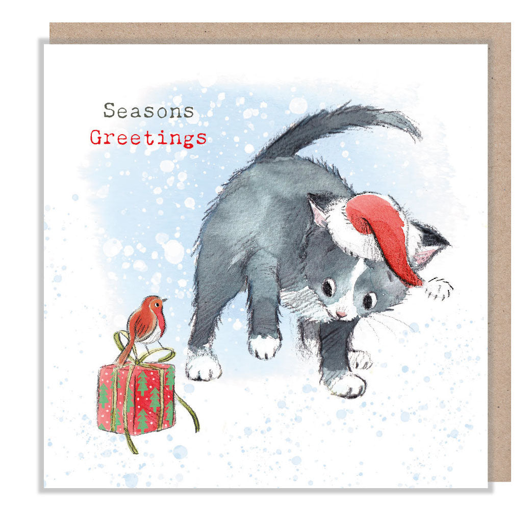 Christmas Cards - Black & White Cat Wearing Hat - Looking at Robin on a Present. Season's Greetings