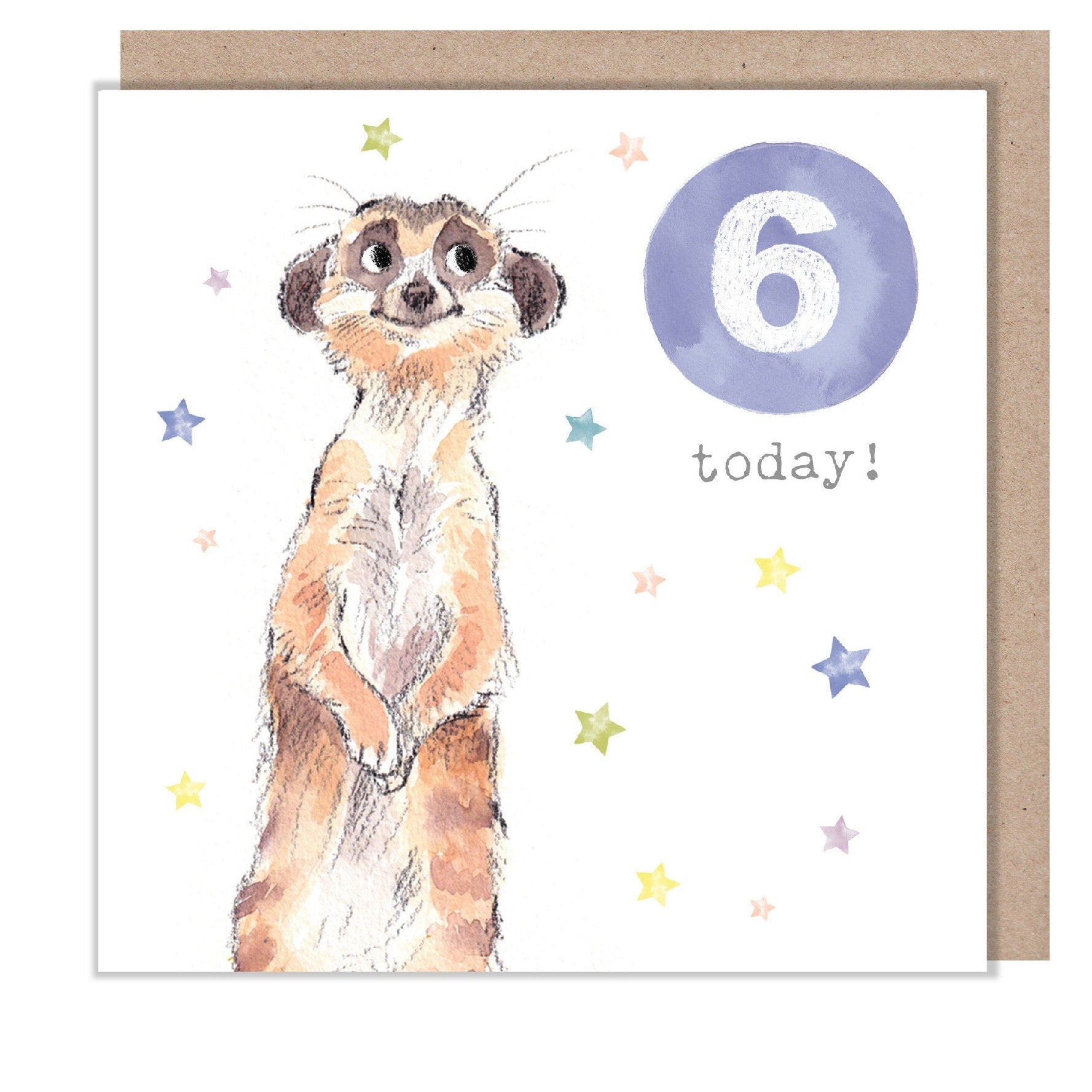 Age 6 Birthday Card - Meerkat