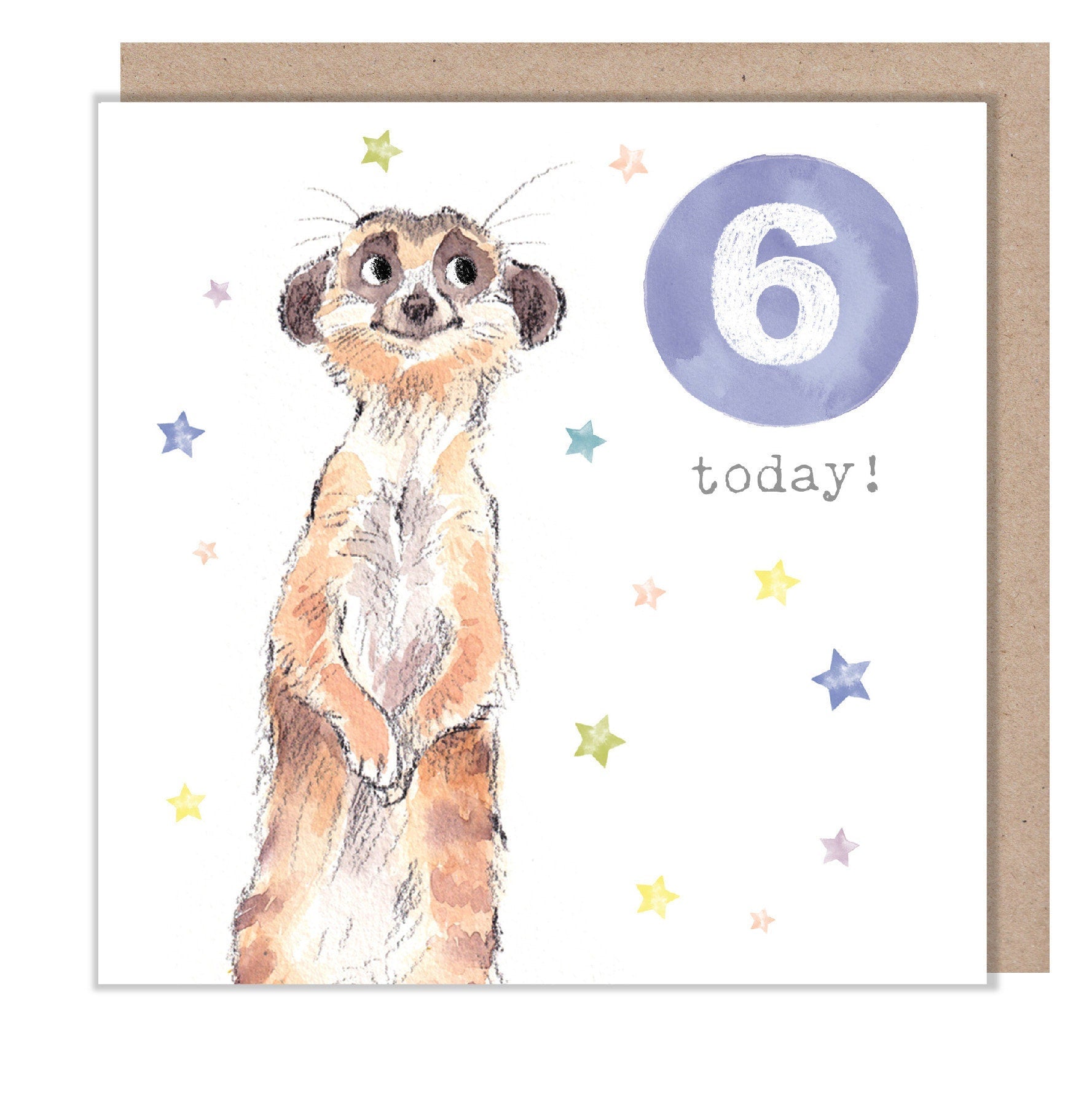Age 6 Birthday Card - Meerkat