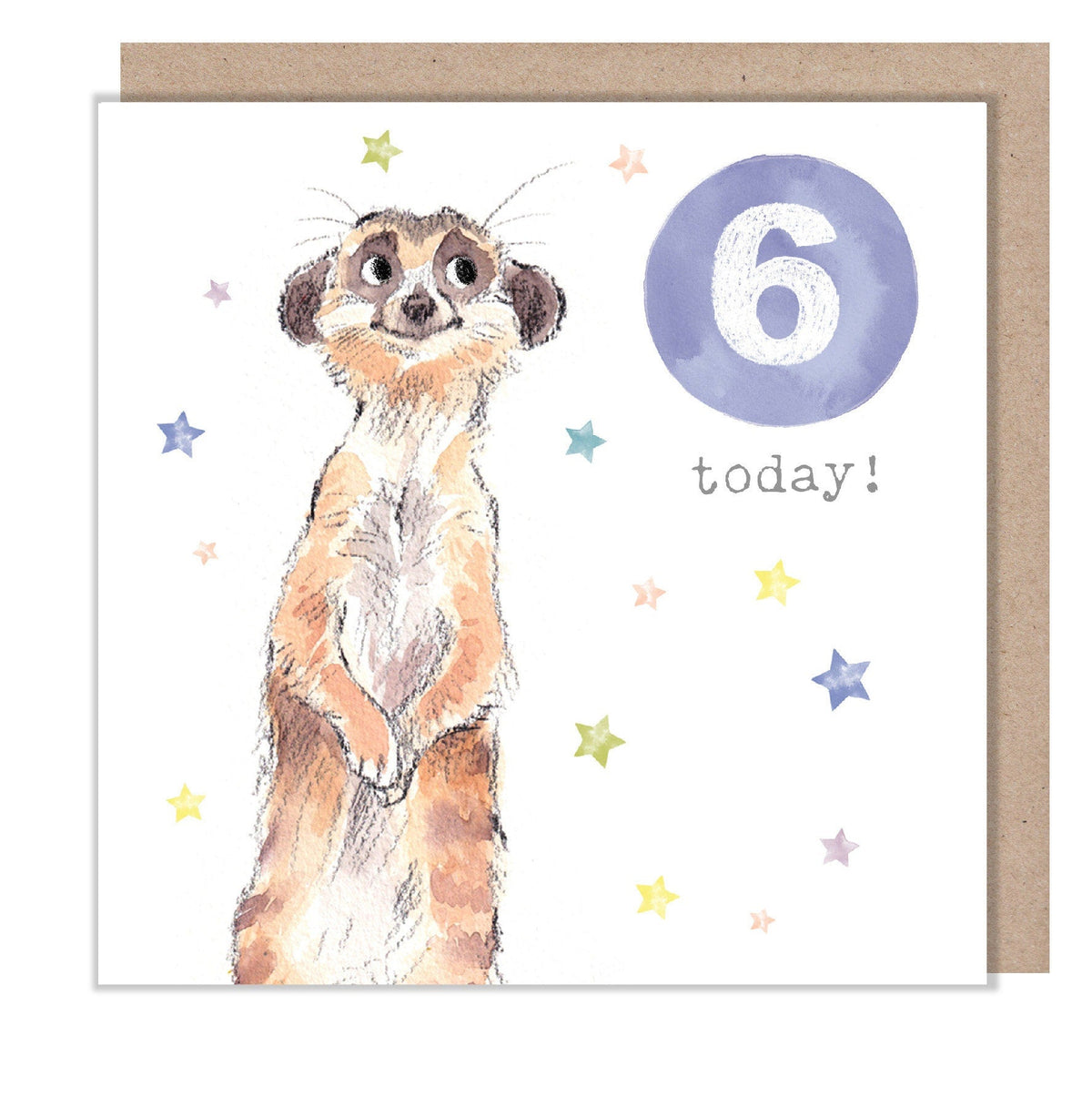 Age 6 Birthday Card - Meerkat