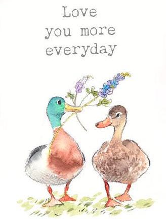 Quality Fridge Magnet - Love you more everyday - Meerkats design - MDF-  Made in the UK - FM010