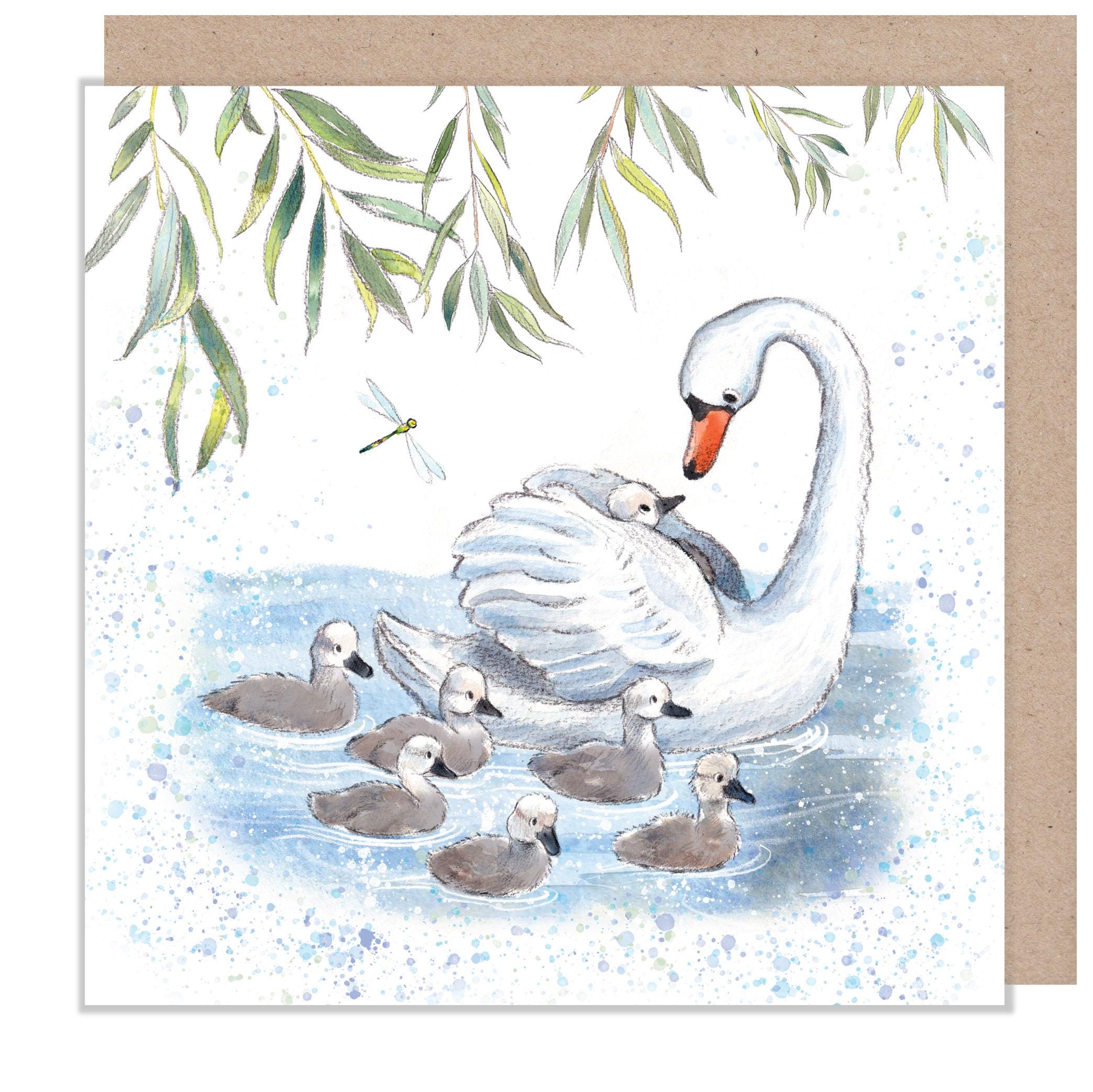 Blank Greeting Card - Swan with Cygnets