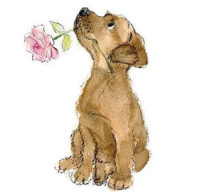 Notelet Pack - Chocolate Labrador
