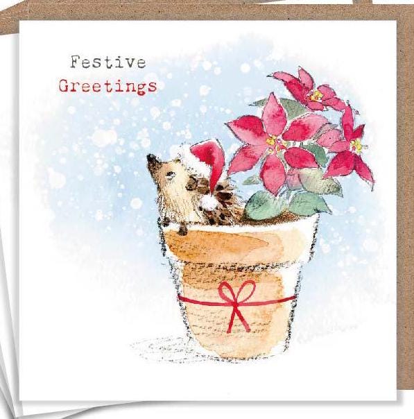 Christmas Card Pack - Hedgehog in Flower Pot