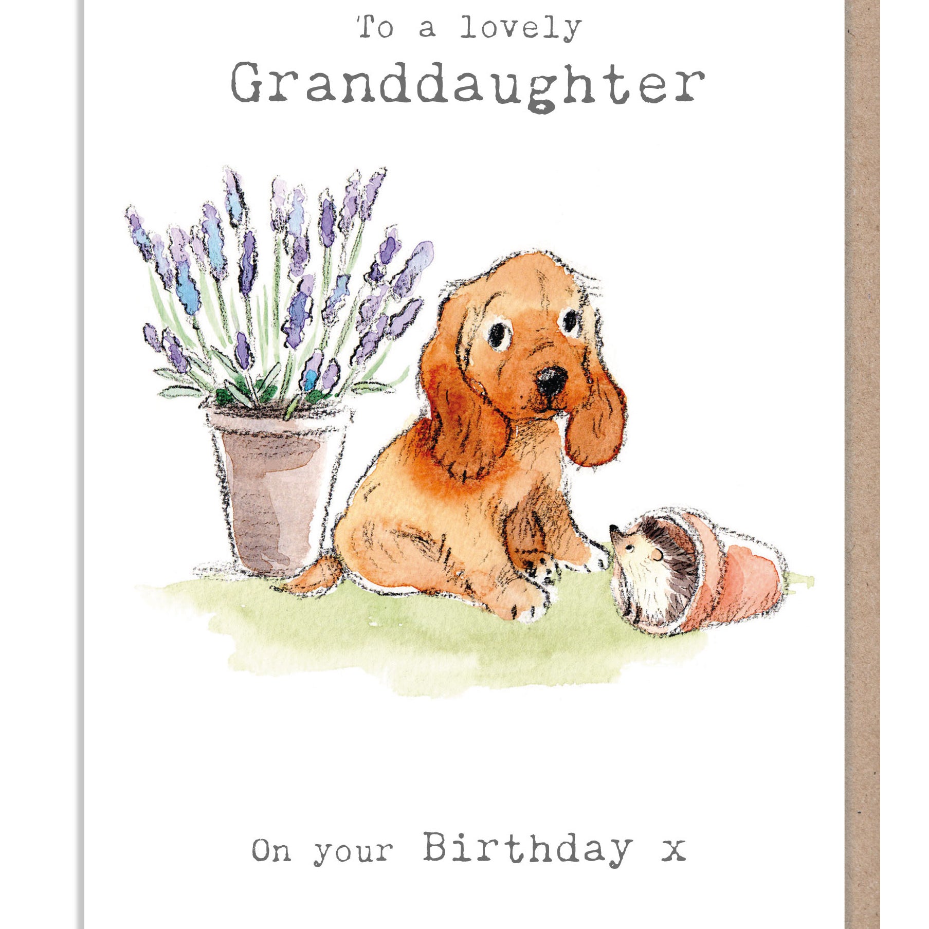 Cute Dog Card - Granddaughter Birthday - Cocker Spaniel with Lavender and Hedgehog
