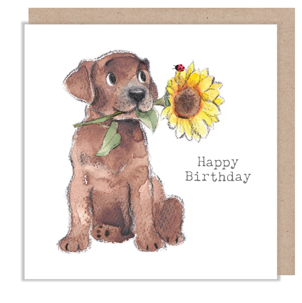 Greeting Card - Happy Birthday - Brown Labrador with Sunflower