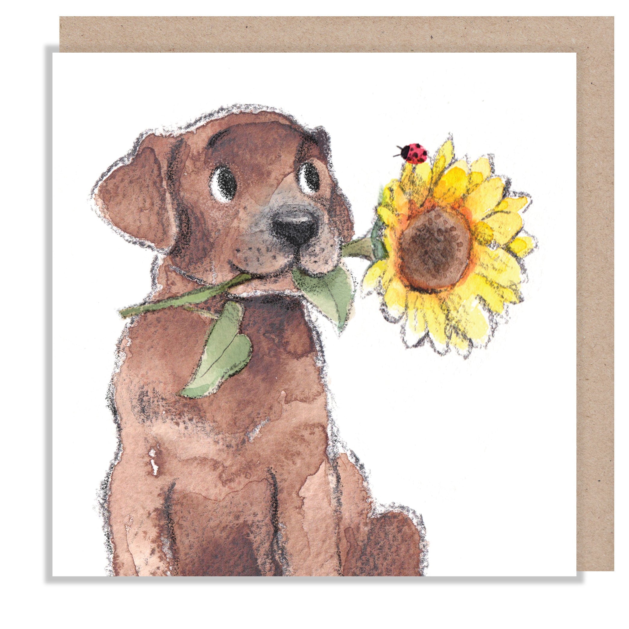 Greeting Card - Blank - Brown Labrador with Sunflower