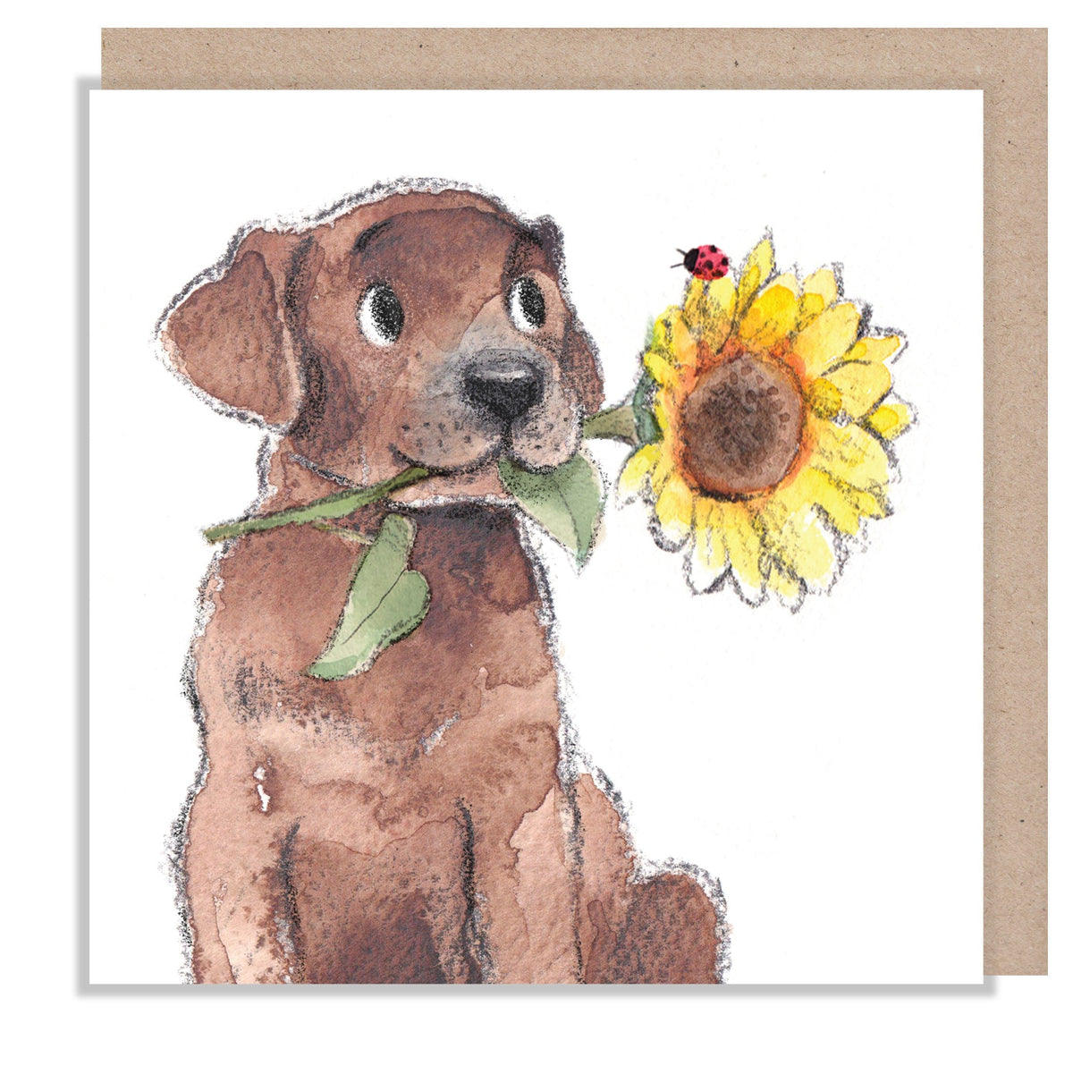 Greeting Card - Blank - Brown Labrador with Sunflower