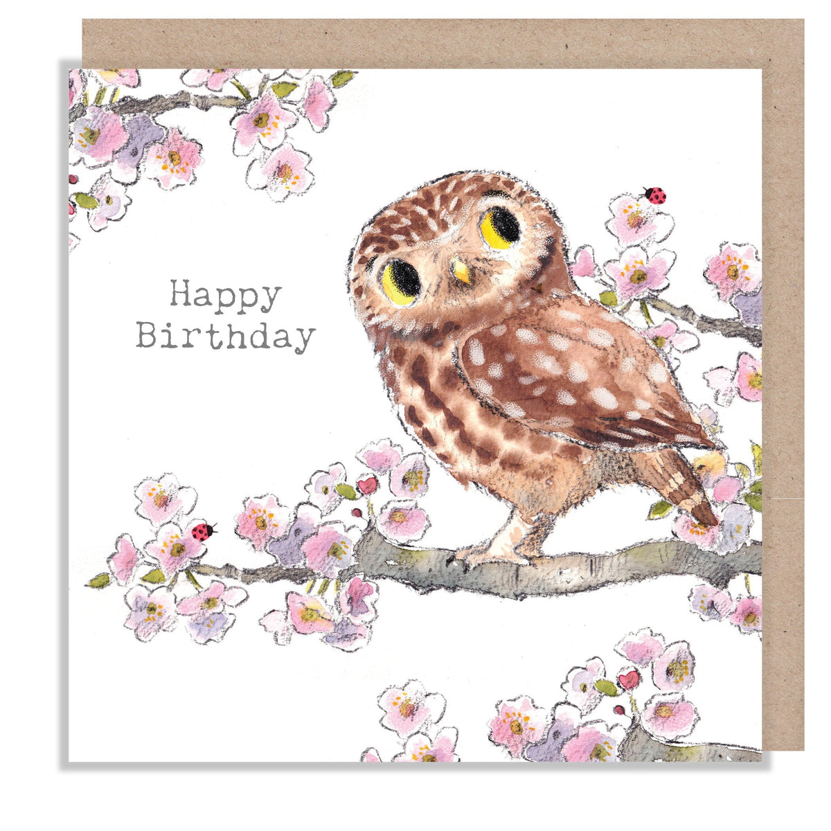 Birthday Card - Happy Birthday - Owl with Blossom