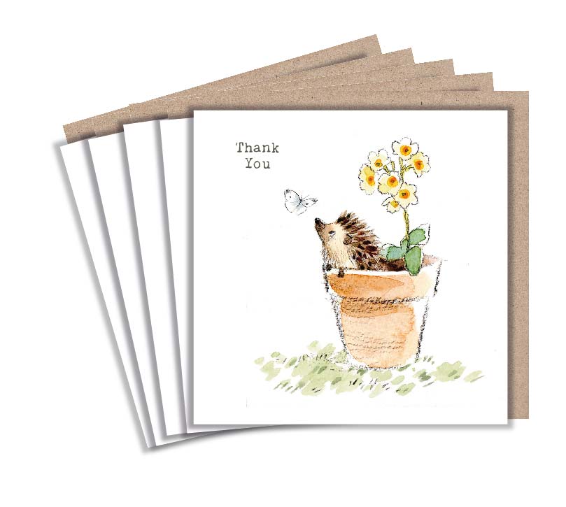 THANKYOU PACK - HEDGEHOG IN POT