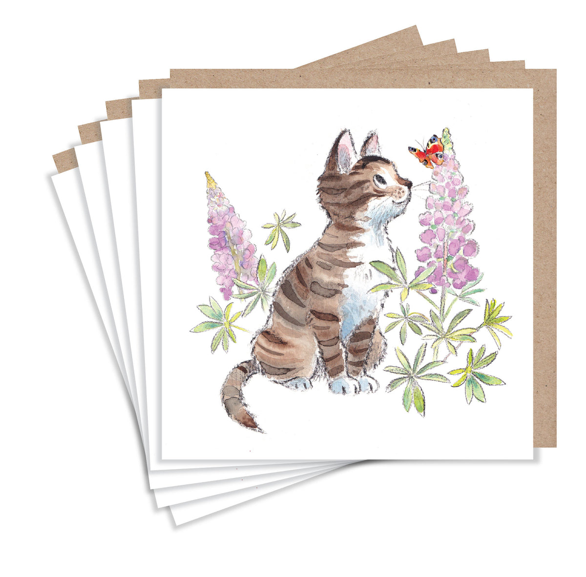 NOTECARD PACK - TABBY KITTEN BUTTERFLY
