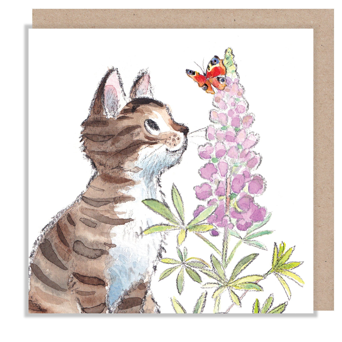 Greeting Card - Blank - Tabby Kitten, Butterfly and Pink Lupin