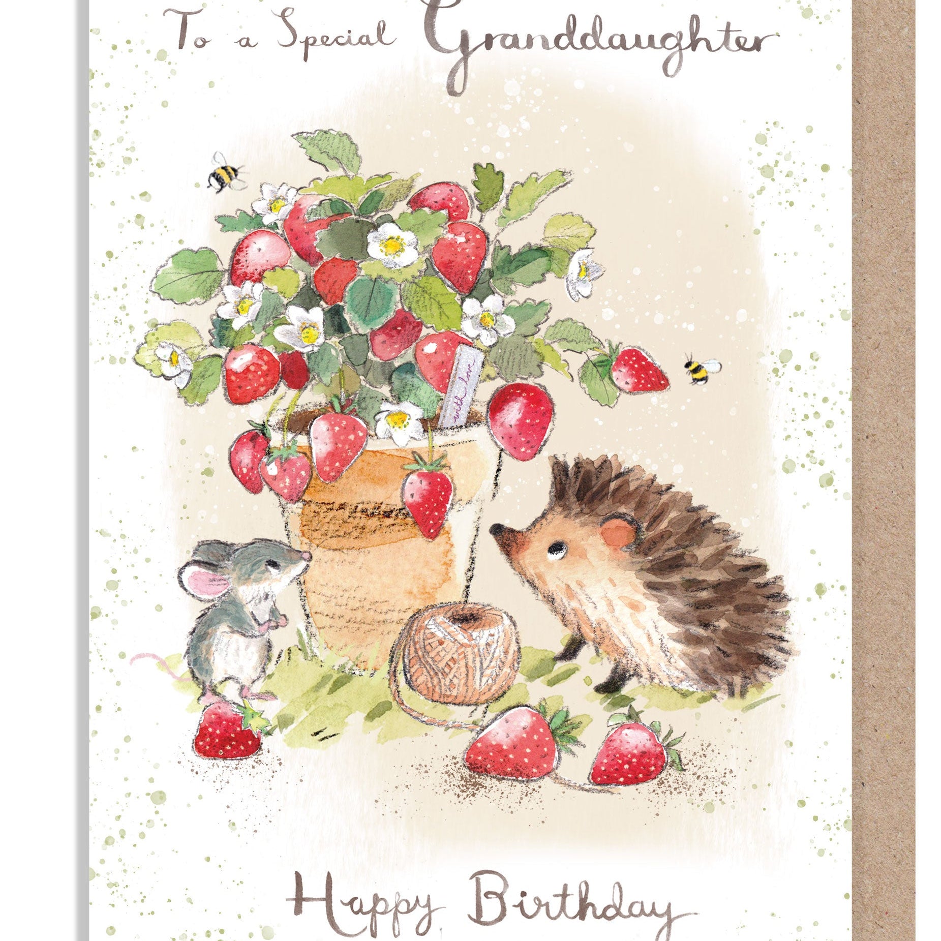 Birthday Card - Special Granddaughter - Hedgehog and Mouse with Strawberries