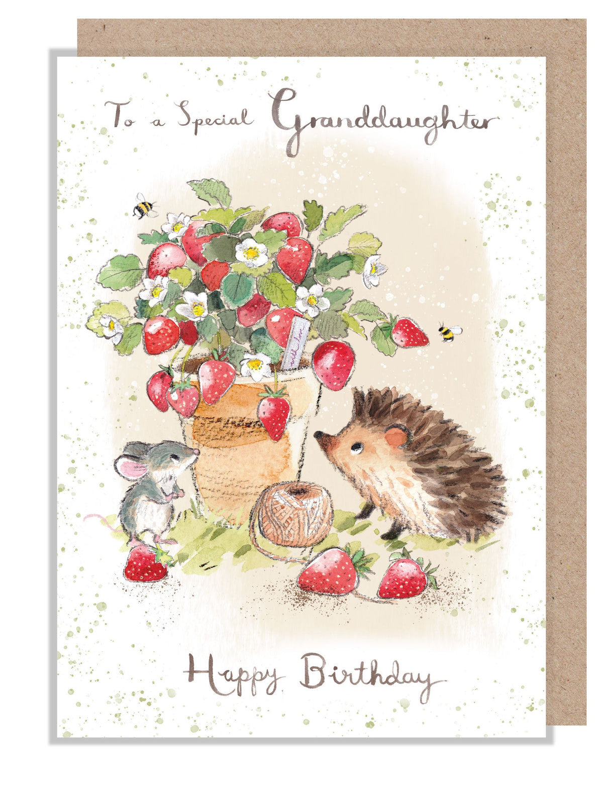Birthday Card - Special Granddaughter - Hedgehog and Mouse with Strawberries
