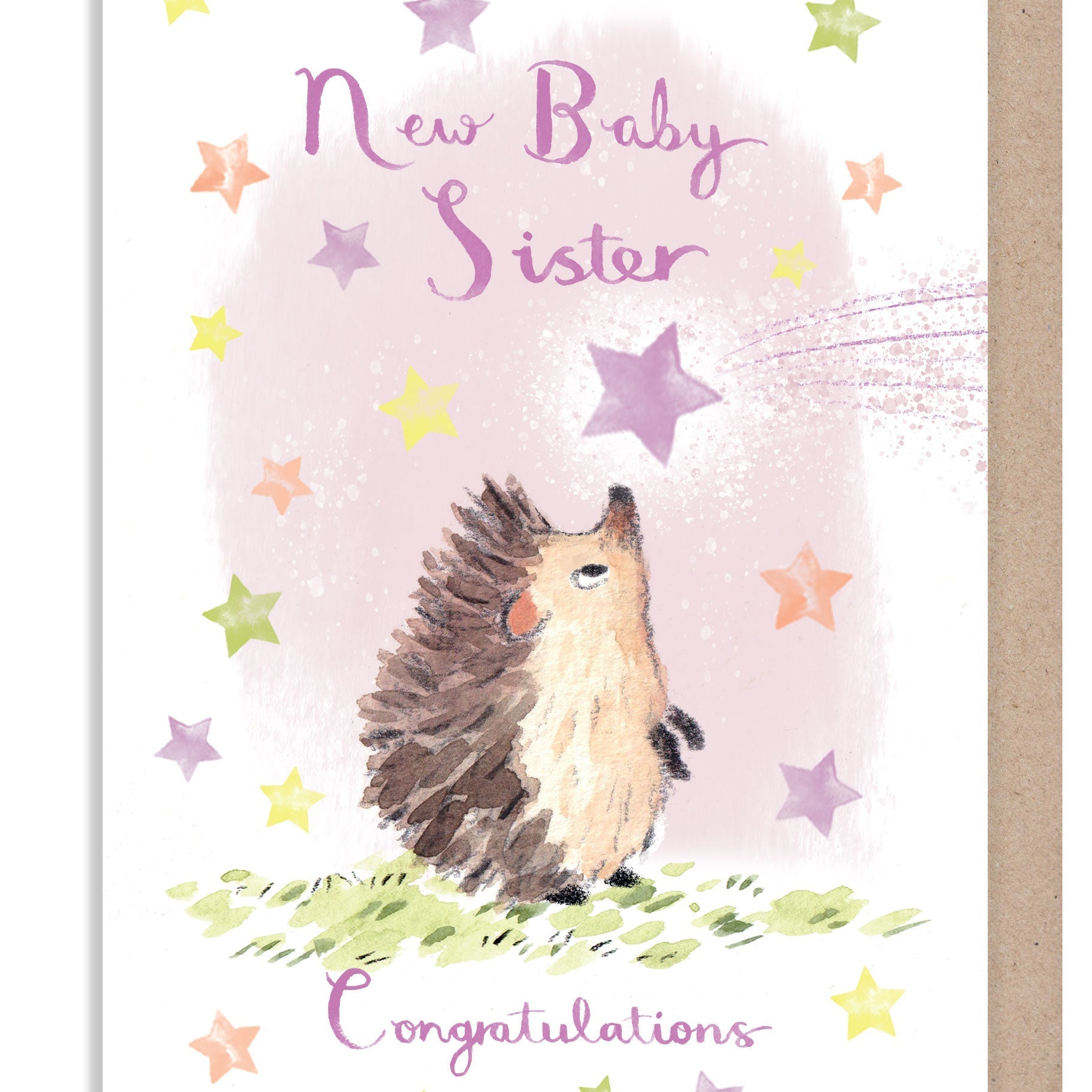 Greeting Card - New Baby Sister - Hedgehog with Pink Shooting Star