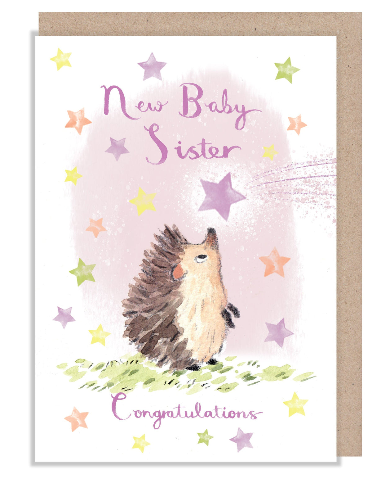 Greeting Card - New Baby Sister - Hedgehog with Pink Shooting Star